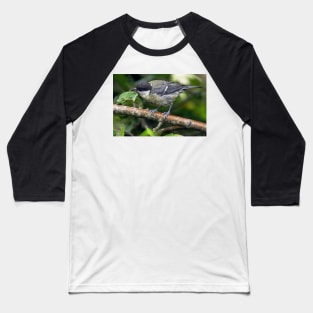 NEW  THE PANASONIC FZ 1000 PAR OKAIO CREATION Baseball T-Shirt